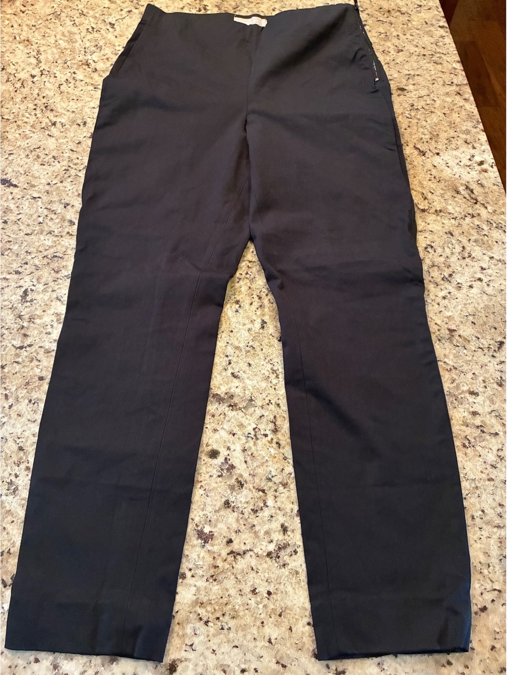 Everlane Black Bi-Stretch Work Pant Size 8